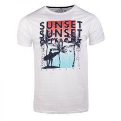 Tee shirt imprime mikado assor 24 Homme BLAGGIO Tee shirt imprime mikado assor 24 Homme BLAGGIO