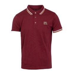 Polo mc olivier homme Homme TED LAPIDUS