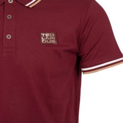 Polo mc olivier homme Homme TED LAPIDUS