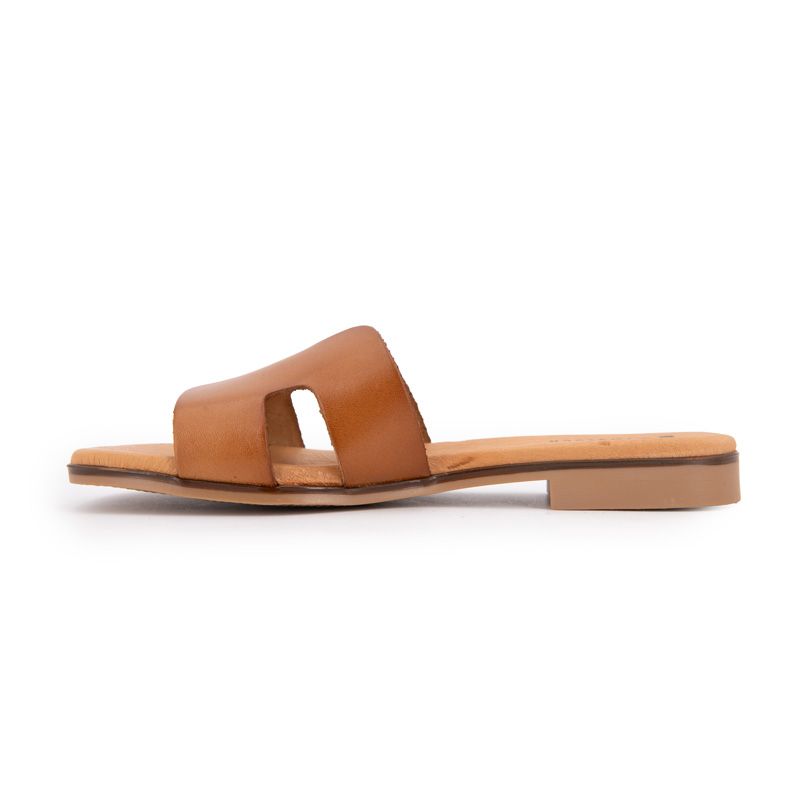 MULE AVELLANA 3053 T36/41