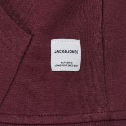 Sweat zip capuche sbl Homme JACK & JONES Sweat zip capuche sbl Homme JACK & JONES