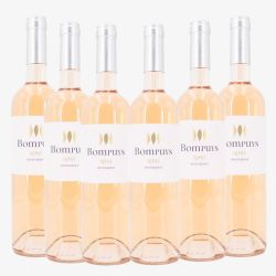 Lot de 6 bouteilles bompuys igp 2023 Mixte BOMPUYS