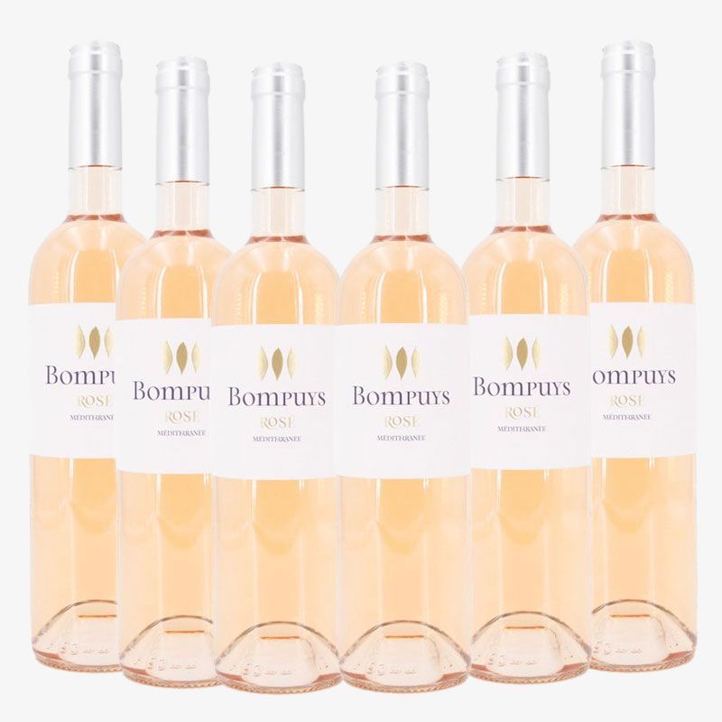 Lot de 6 bouteilles bompuys igp 2023 Mixte BOMPUYS