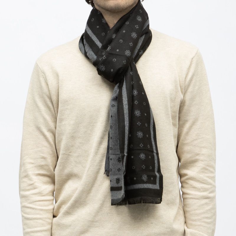 Echarpe imprimee 30x190cm lyam Homme TED LAPIDUS