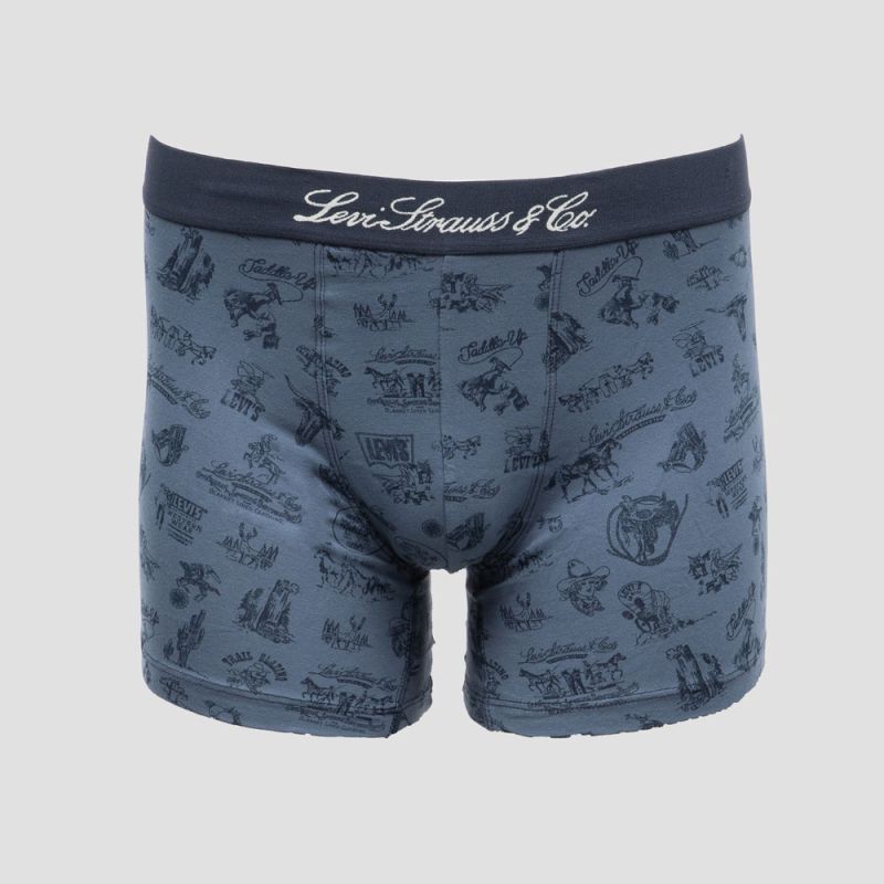 Lot 2 boxers navy combo wstrn 701235950001801 Homme LEVI'S