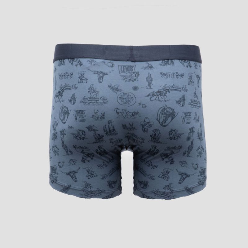 Lot 2 boxers navy combo wstrn 701235950001801 Homme LEVI'S