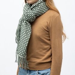 Echarpe gris 70 x 180cm man ff 224059 Femme MANOUKIAN