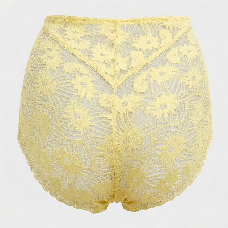 Culotte dentelle taille haute solana Femme MINELLI