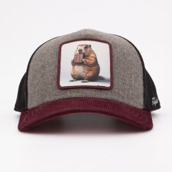 Casquette hat3/1/ct/gro Homme HATFIELD