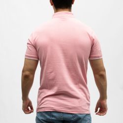 Polo mc lt pink prime Homme PANAME BROTHERS