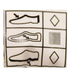 Baskets basses zippées avec lacets effet cuir lisse Femme MUSTANG