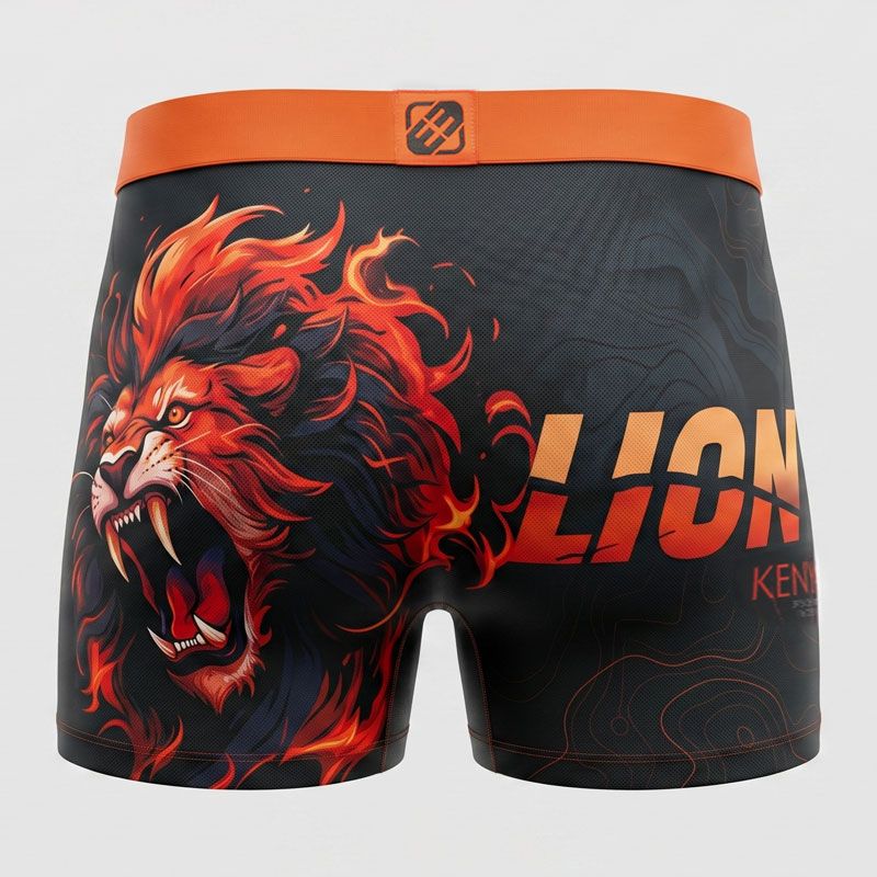 Boxer microfibre lion fgpa90/1/bm/lio Homme FREEGUN