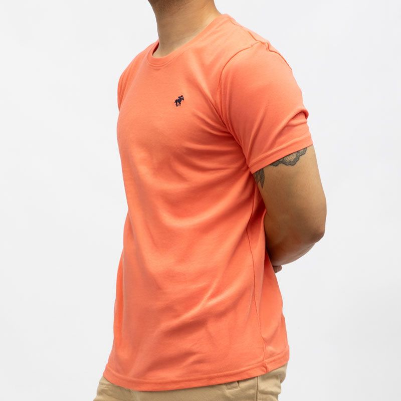 Tee shirt avec cavalier brodé en coton Homme AMERICAN COLLEGE