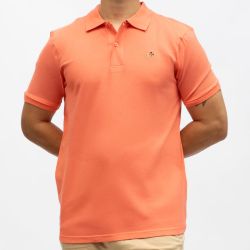 Polo mc salmon ac25289 Homme AMERICAN COLLEGE