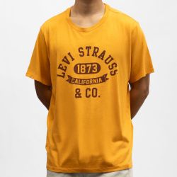 Tee shirt mc Homme LEVI'S